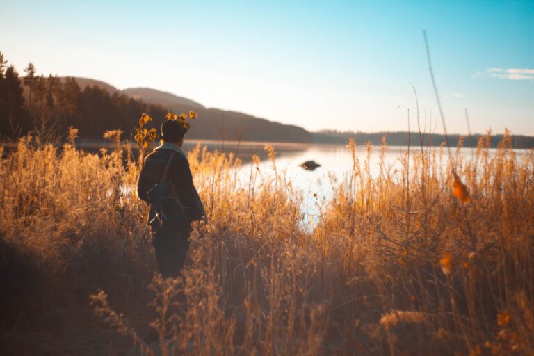 The Art Of Dreaming